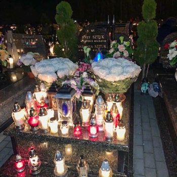 PART ONE: A PLENARY INDULGENCE FOR THE DEAD — HOW CAN WE OBTAIN ONE?